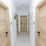 Zemunik * Donji Zemunik